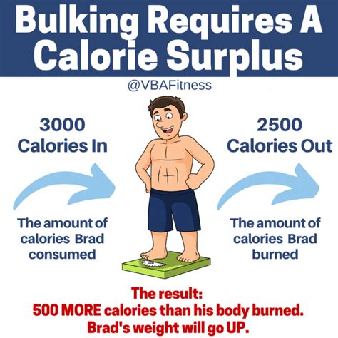 best foods for bulking skinny guys|high calorie foods for skinny guys.